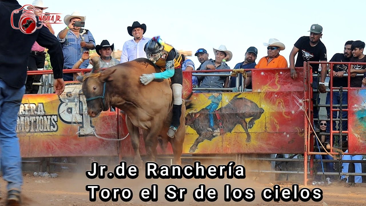 Jr De Rancher aToro El Sr De Los Cielos Rancho Hnos Sanchez Santa Fe jr-de-rancher-atoro-el-sr-de-los-cielos-rancho-hnos-sanchez-santa-fe