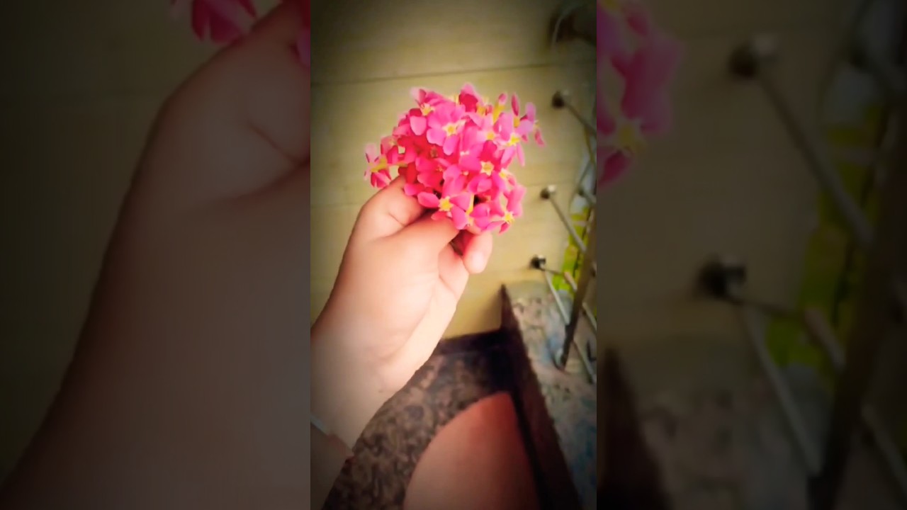 my-cutest-girl-love-viralvideo-trendingshorts-youtube