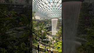 singapore jewelchangiairport changiairport singaporetravel visitsingapore indochina