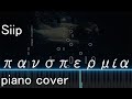 🐑Siip - πανσπερμία / piano cover