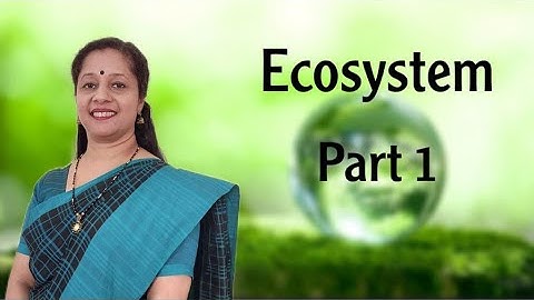 CLASS12: ECOSYSTEM: PART1: STRUCTURE AND FUNCTIONS OF ECOSYSTEM, PRODUCTIVITY