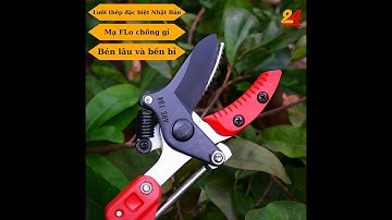 Kéo cắt cành trên cao nội địa nhật Con cua Nishigaki N-155 và Kéo ARS 184Z tặng 1 xẻng bonsai nhật