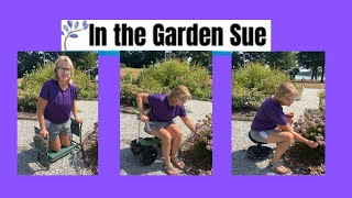 Review of 3 Best Garden Kneeler Seats for Seniors
