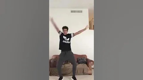 Funny video dog 2017