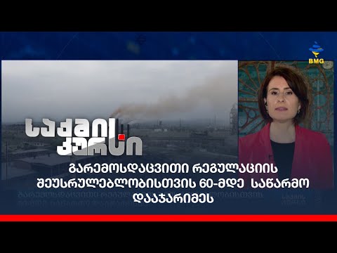 გარემოსდაცვითი რეგულაციის შეუსრულებლობისთვის 60-მდე საწარმო დააჯარიმეს