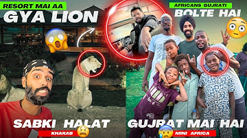 Gujrat mai Mini Africa pahuch gye 😳 Apne Resort mai Lion aa gya 😰 aisa kabhi puri Life mai nhi dkha😱