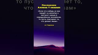 Xадис о следовании за имамом в молитве. #хадис #ислам #намаз #имам