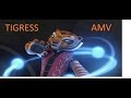 Kung fu panda tigress amv