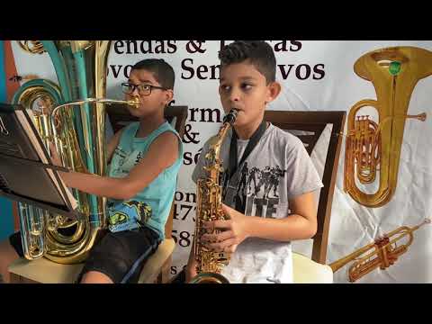 Vídeo: Como funciona a saxtuba?