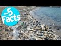 top 5 facts about plastic