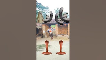 OMG! Giant Snakes Attack in Village😱🐍|| Unreal VFX Scene #funny #youtubeshorts #trendingshorts