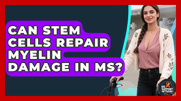 Can Stem Cells Repair Myelin Damage In MS? - MS Support Network