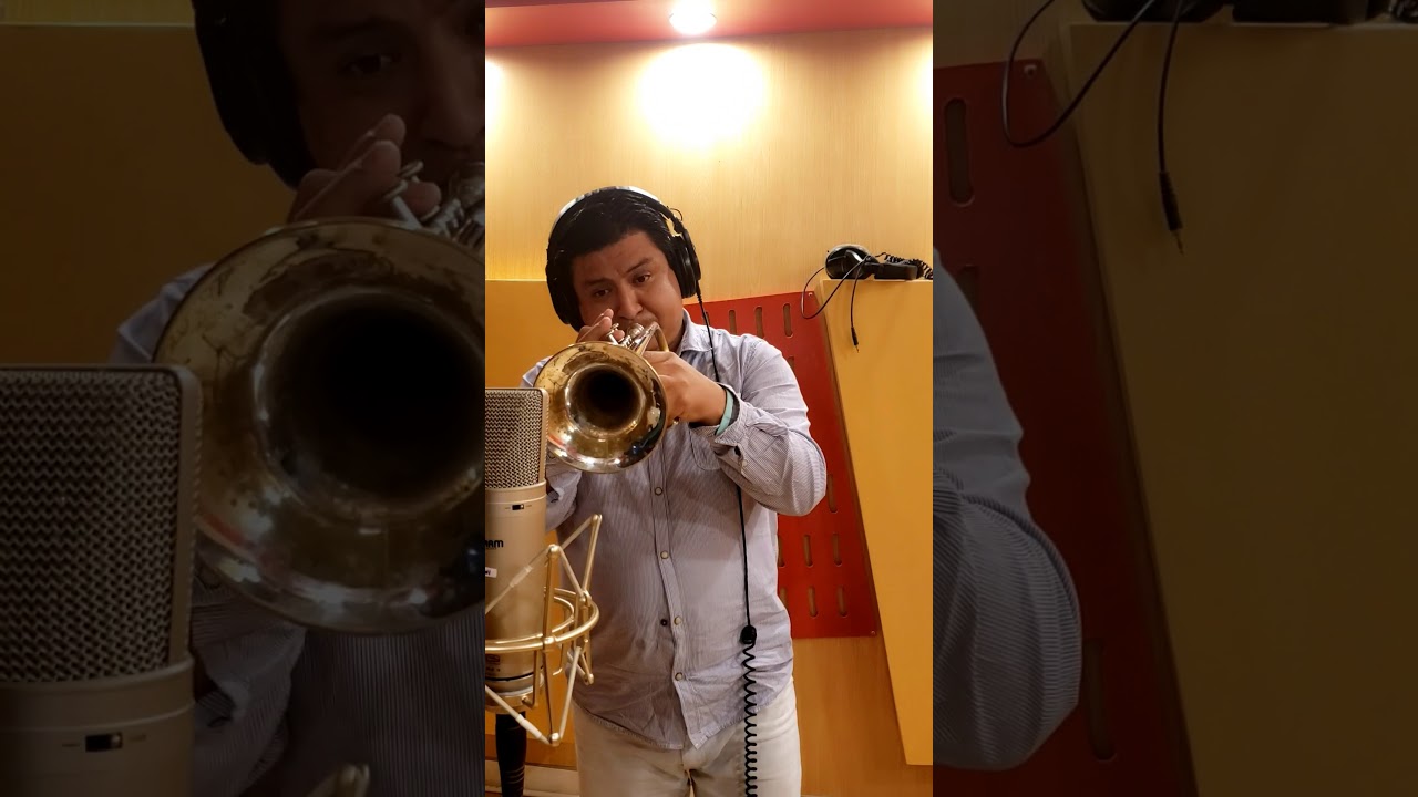 MI QUERIDO VIEJO - TROMPETA ( cover)