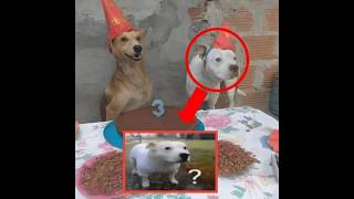 SHİTPOST COMPILATION 54