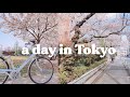 🌸 a day in my life in Tokyo, living alone in Japan | silent vlog #20