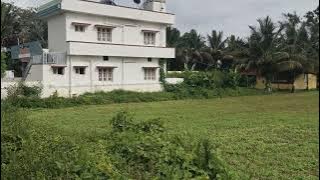 ID.NO..74.=9731865069