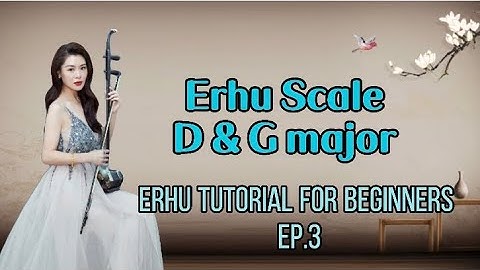 Cathy Erhu 101| |Erhu tutorial for beginner EP.3|How to play the erhu scale| CATHY YANG ERHU