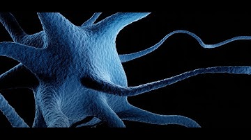 This Technique Turns the Brain On and Off | Sonothermogenetics