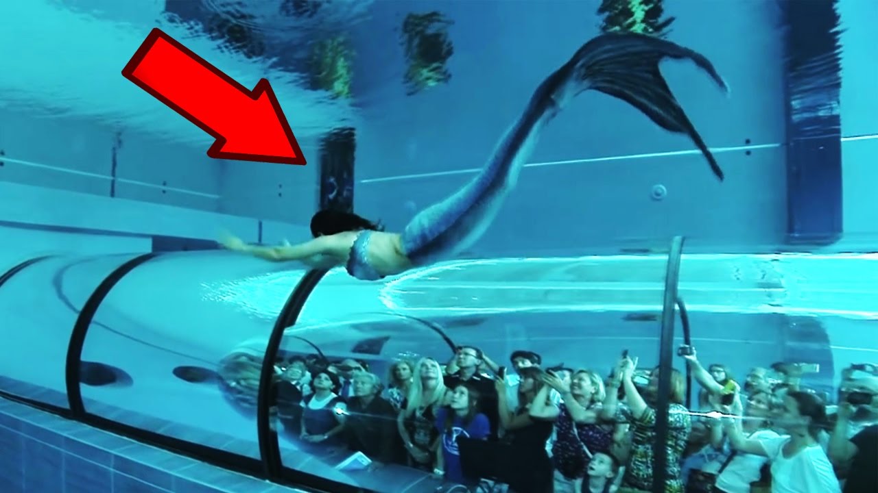 curiosidades que no sabias del cuerpo humano PISCINAS QUE NO CREERAS QUE EXISTEN | PISCINAS Mas RARAS Del Mundo