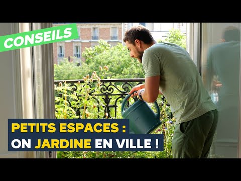 Balcon, terrasse, fenêtre : Comment végétaliser en ville ? (Avec Stéphane Marie)