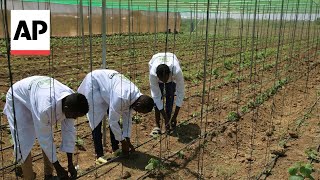 African farmers look to the past and the future to address climate change