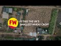 Is This The UK S Smallest Wheat Crop 