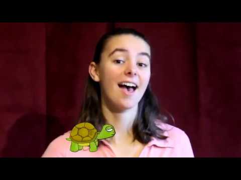 My Turtle Song - roblox turtle song