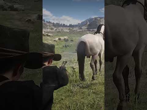 Can You Shoot Horse's Balls in Red Dead Redemption 2?