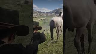 Can You Shoot Horse's Balls in Red Dead Redemption 2? screenshot 5