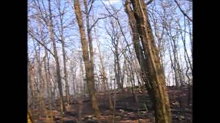 Locust Valley Fire Control Station 2009 Fire Season.mp4