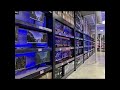 11-22-25- Live PC Upgrade! RTX 5080 + 1200w PSU🔥