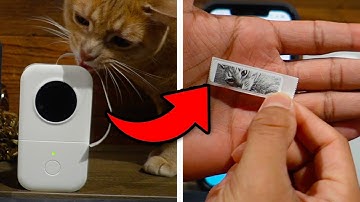Everything To Know About The Phomemo Label Maker Machine D30