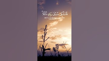 سورة النحل الآية 68 و 69 بصوت القارئ محمد الفقيه
