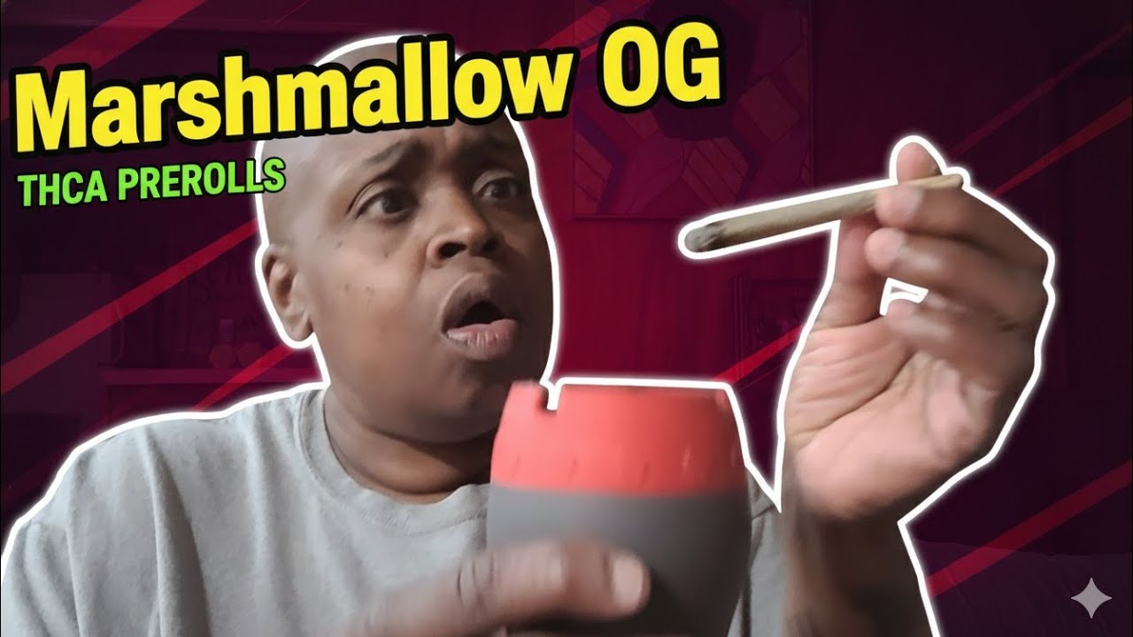 Marshmallow OG from Not Ya Son’s Weed