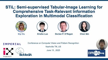 [CVPR 2025] STiL: Semi-supervised Tabular-Image Learning for Comprehensive Task-Relevant