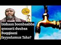 Akkaataa Intala Fuudhu Barbaadan Itti Laallatan Eessa Faha Laallatan