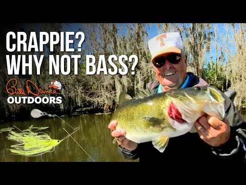 Crappie? Why Not Bass?  Bill Dance Outdoors 