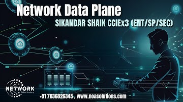 Diving Deep into the Data Plane: Unraveling the Backbone of Network Traffic"
