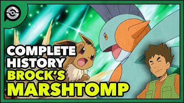 Pokemon Explained: Brock