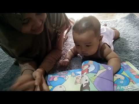 Video: Cara Memperkenalkan Anak Kepada Buku