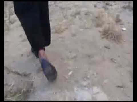 المجال روعة