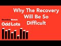 Richard Koo On Why Economic Recovery Will Be So Difficult