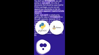 In Python script, how do I set PYTHONPATH #shorts