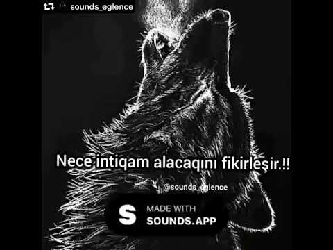 Sounds app #soundsapp #gence #azərbaycan