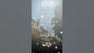 تلاوة خاشعة عطرة مباركة جميلة عذبة للشيخ ماهر المعيقلي ماتيسر من سورة الأحزاب