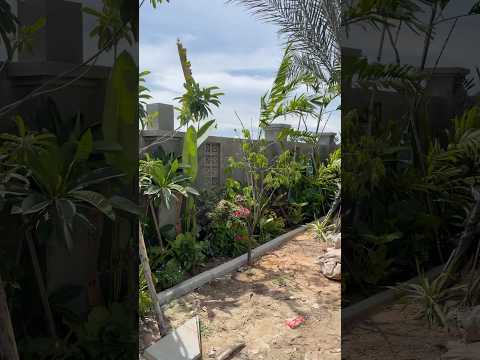 Music Lyrics Nostalgia Natural Nature Lifeisbutadream Musicgenre Coversong Travel