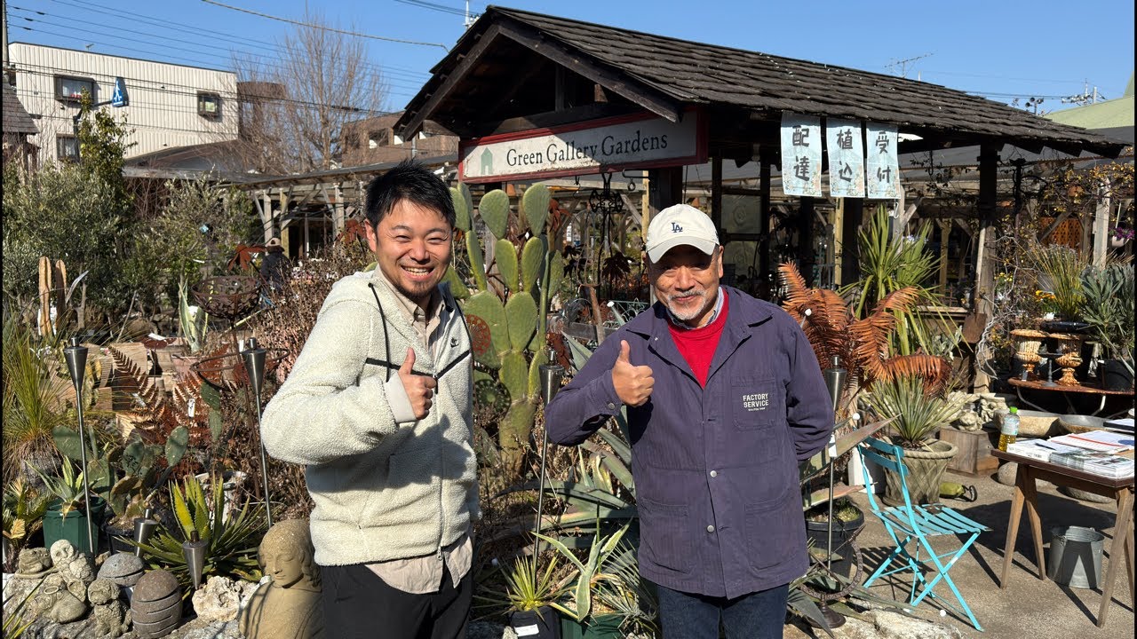 【直前配信】植木祭りをご紹介します！樹木大好きな人必見です！