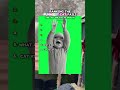 Ranking The Funniest Cat Fails! #shorts #funny #cats