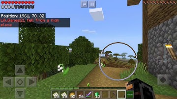 The Wandering Trader || Part 2