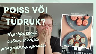 POISS VÕI TÜDRUK? Niptify testi tulemused? Pregnancy update and gender reveal